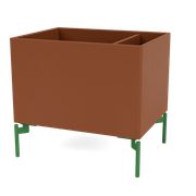 Hazelnut (Ausverkauft)