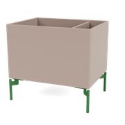 Mushroom (Ausverkauft)