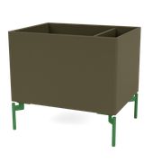 Oregano (Ausverkauft)