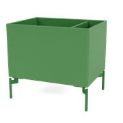 Parsley (Ausverkauft)