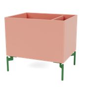 Rhubarb (Ausverkauft)