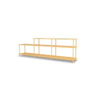 233 Acacia Structure (Esaurito)