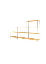 233 Acacia Structure (Esaurito)