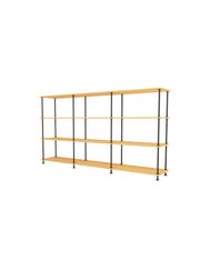 233 Acacia Structure (Esaurito)