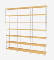 233-AcaciaStructure (Sold Out)