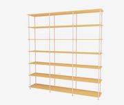 233-AcaciaStructure (Udsolgt)