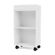 New White (Sold Out)