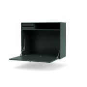 Black Jade (Sold Out)