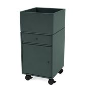 Black Jade (Ausverkauft)