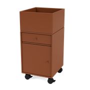 Hazelnut (Ausverkauft)