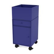 Monarch (Ausverkauft)