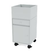 Oyster (Ausverkauft)