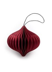 Red - Onion (Wyprzedane)