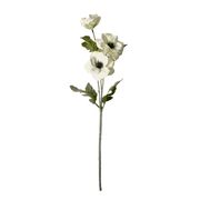 Anemone - White (Ausverkauft)