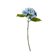 Hydrangea - Light Blue (Ausverkauft)