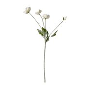 Poppy - White (Ausverkauft)