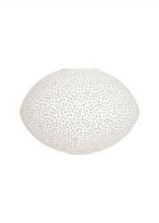 102 Offwhite / Black (Esaurito)