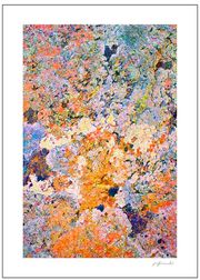 Josefine Amalie (Sold Out)