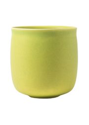 Spring Apple (Udsolgt)