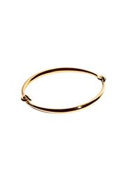 Goldplated (Ausverkauft)