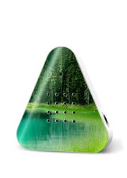 Forest Lake (Vyprodáno)