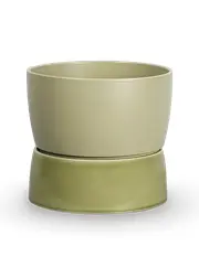 Artichoke green (Esaurito)