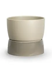 Dune grey (Esaurito)