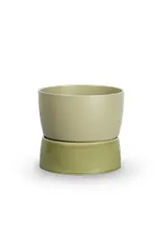 Artichoke green (Agotado)