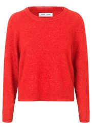 Scarlet Sage (Esgotado)