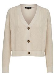 Sandshell (Sold Out)