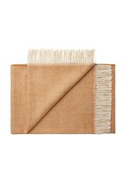 Sparks Curry (Udsolgt)