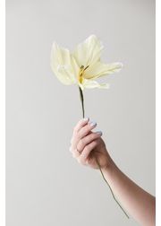 Yellow (Ausverkauft)