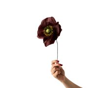 PAPER FLOWER, PAPAVER, BROWN (Udsolgt)