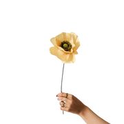 PAPER FLOWER, PAPAVER, SOFT PEACH (Udsolgt)