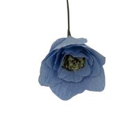 Light Blue (Udsolgt)