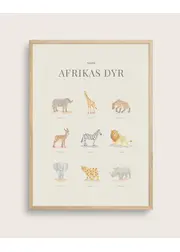 African Animals
