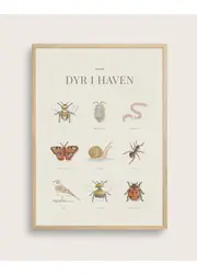 Animals In The Garden