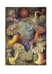 Actiniae #8201 - canvas (Udsolgt)