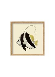 Black And White Fish (Agotado)