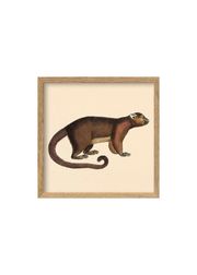 Brown Bear / Oak (Sold Out)