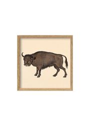 Buffalo / Oak (Sold Out)