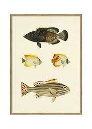 Fishes #3914P (Uitverkocht)