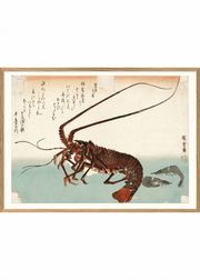 Red Languster (Sold Out)