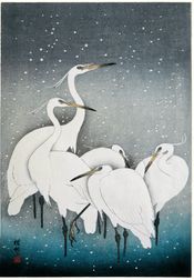 Snowy Herons (Esaurito)