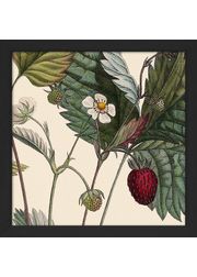 Black Frame (Esgotado)