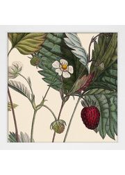 White Frame (Esgotado)