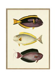Fishes #3915P (Sold Out)