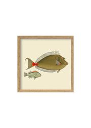 Two Green Fish / Oak (Udsolgt)