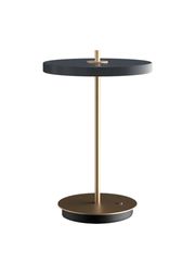 Anthracite (Agotado)