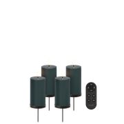 Pine green, Smooth (Sold Out)